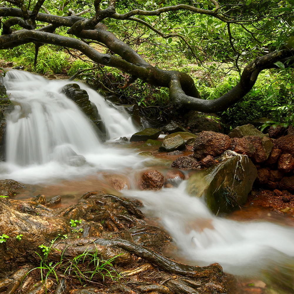 Arbi Falls